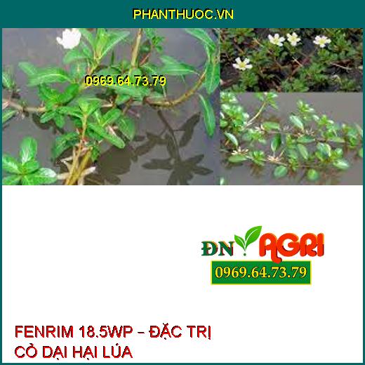 FENRIM 18.5WP – ĐẶC TRỊ CỎ DẠI HẠI LÚA