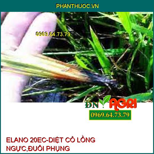 ELANO 20EC-DIỆT CỎ LỒNG NGỰC,ĐUÔI PHỤNG