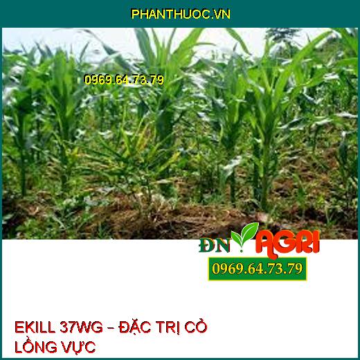 EKILL 37WG – ĐẶC TRỊ CỎ LỒNG VỰC