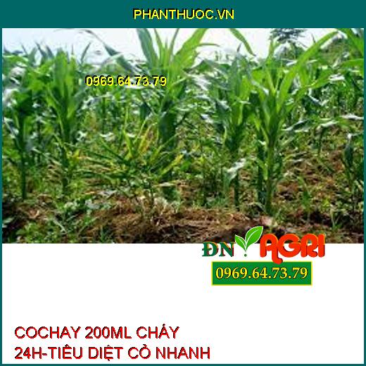 COCHAY 200ML CHÁY 24H-TIÊU DIỆT CỎ NHANH