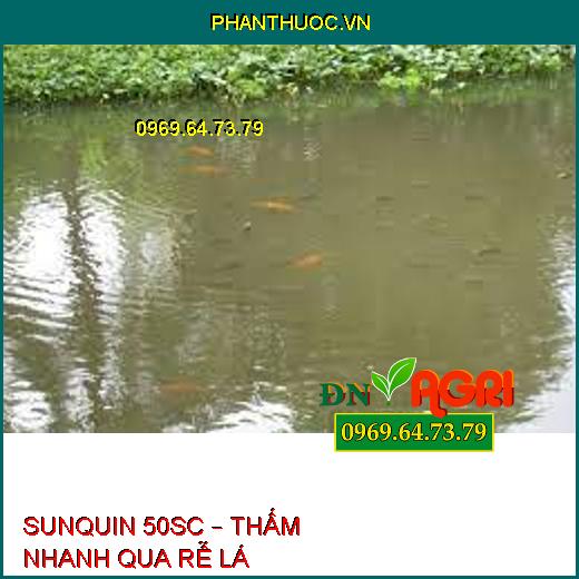 SUNQUIN 50SC – THẤM NHANH QUA RỄ LÁ