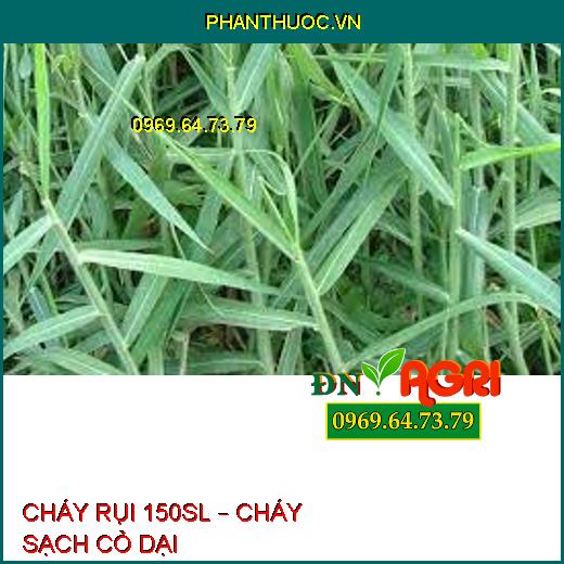 CHÁY RỤI 150SL – CHÁY SẠCH CỎ DẠI