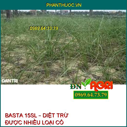 BASTA 15SL – DIỆT TRỪ ĐƯỢC NHIỀU LOẠI CỎ