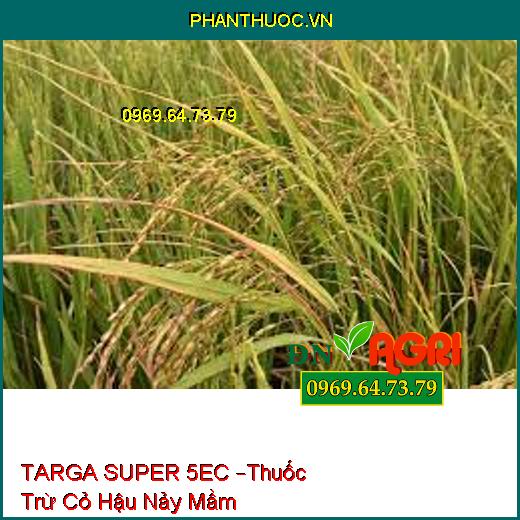 TARGA SUPER 5EC –Thuốc Trừ Cỏ Hậu Nảy Mầm