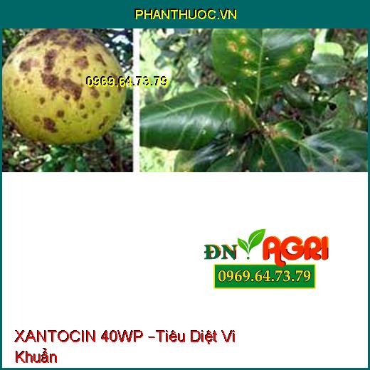 XANTOCIN 40WP –Tiêu Diệt Vi Khuẩn