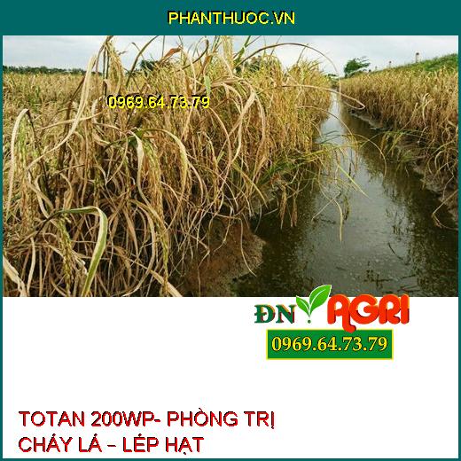 TOTAN 200WP- PHÒNG TRỊ CHÁY LÁ – LÉP HẠT