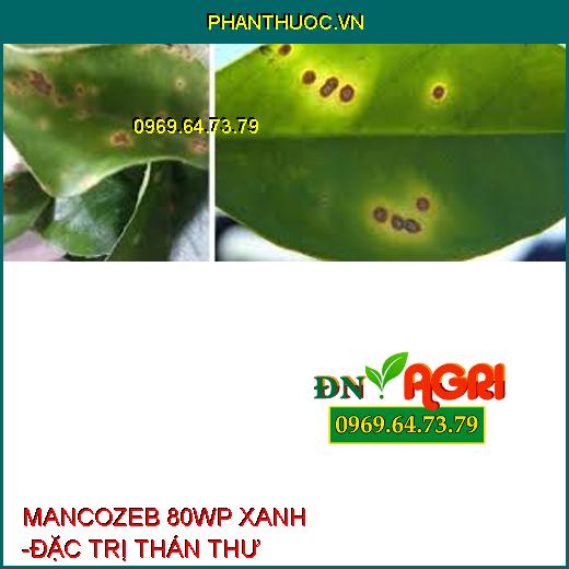 MANCOZEB 80WP XANH -ĐẶC TRỊ THÁN THƯ 