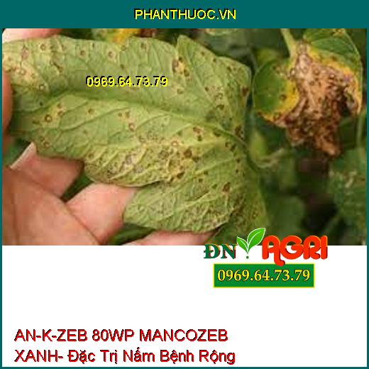 AN-K-ZEB 80WP MANCOZEB XANH- Đặc Trị Nấm Bệnh Phổ Rộng