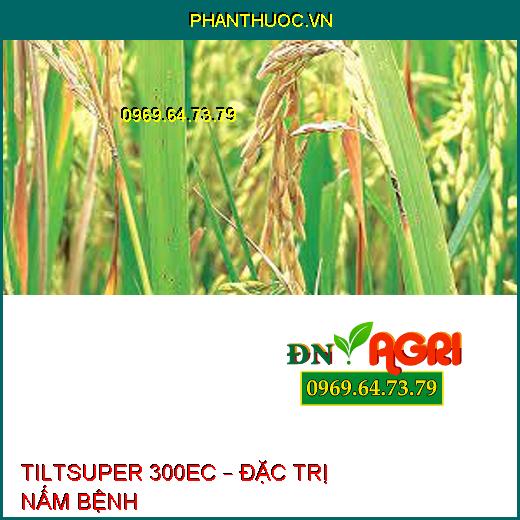 TILTSUPER 300EC – ĐẶC TRỊ NẤM BỆNH