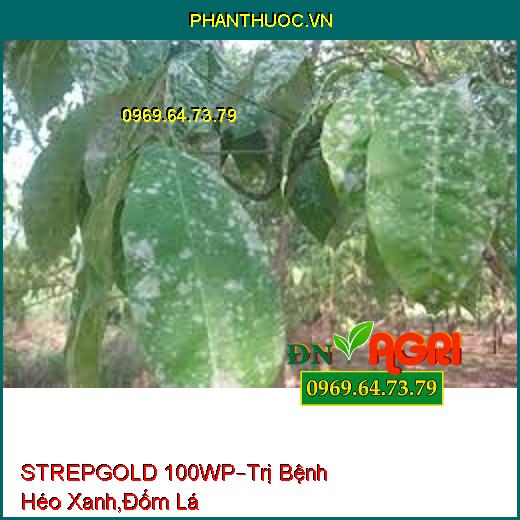 STREPGOLD 100WP–Trị Bệnh Héo Xanh,Đốm Lá