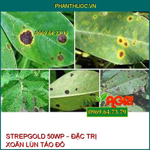 STREPGOLD 50WP – ĐẶC TRỊ XOĂN LÙN TÁO ĐỎ