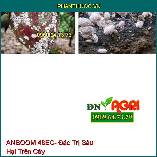 ANBOOM 48EC- Đặc Trị Sâu Hại Trên Cây