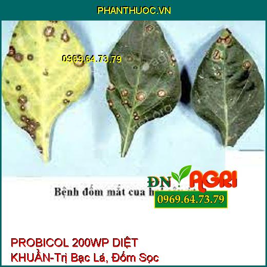 PROBICOL 200WP DIỆT KHUẨN-Trị Bạc Lá, Đốm Sọc