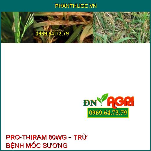 PRO-THIRAM 80WG – TRỪ BỆNH MỐC SƯƠNG 