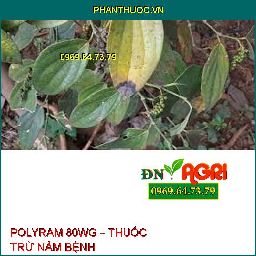 POLYRAM 80WG – THUỐC TRỪ NẤM BỆNH 