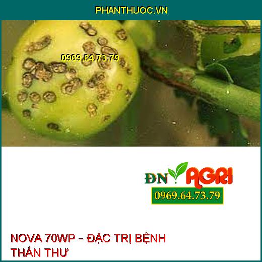 NOVA 70WP – ĐẶC TRỊ BỆNH THÁN THƯ