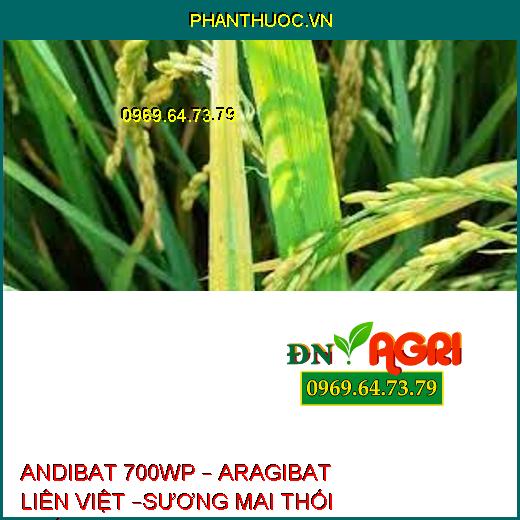 ANDIBAT 700WP – ARAGIBAT LIÊN VIỆT –SƯƠNG MAI THỐI THÂN