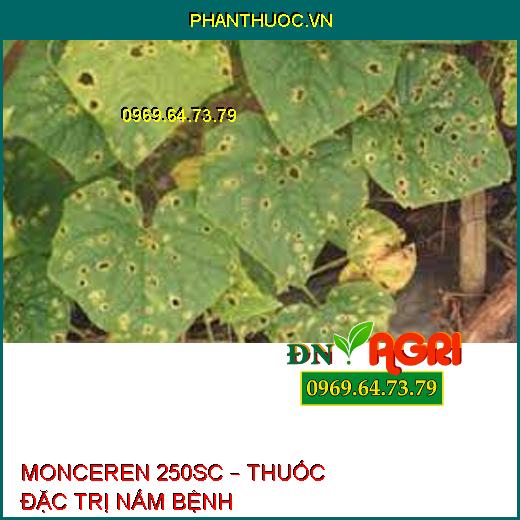 MONCEREN 250SC – THUỐC ĐẶC TRỊ NẤM BỆNH