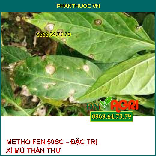 METHO FEN 50SC – ĐẶC TRỊ XÌ MỦ THÁN THƯ