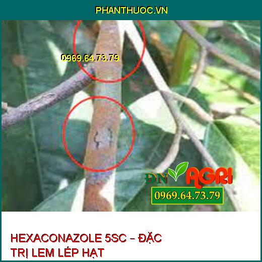 HEXACONAZOLE 5SC – ĐẶC TRỊ LEM LÉP HẠT