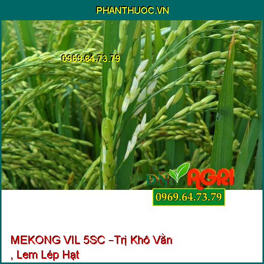 MEKONG VIL 5SC –Trị Khô Vằn , Lem Lép Hạt