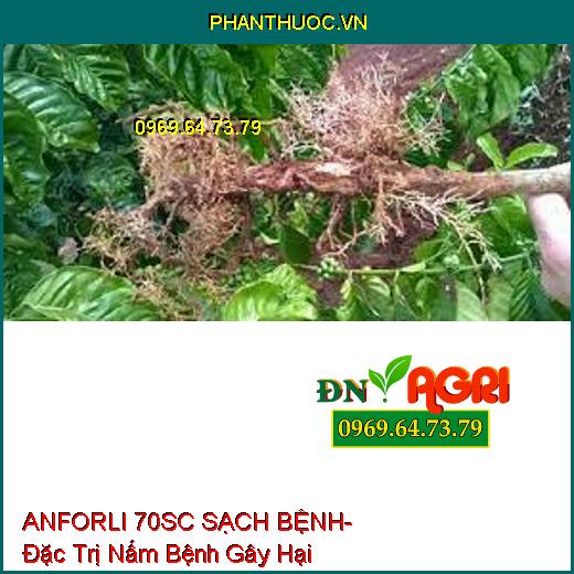 ANFORLI 70SC SẠCH BỆNH- Đặc Trị Nấm Bệnh Gây Hại