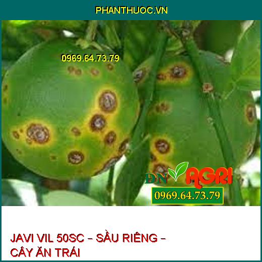 JAVI VIL 50SC – SẦU RIÊNG – CÂY ĂN TRÁI