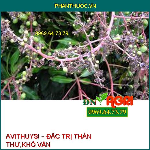 AVITHUYSI – ĐẶC TRỊ THÁN THƯ,KHÔ VẰN