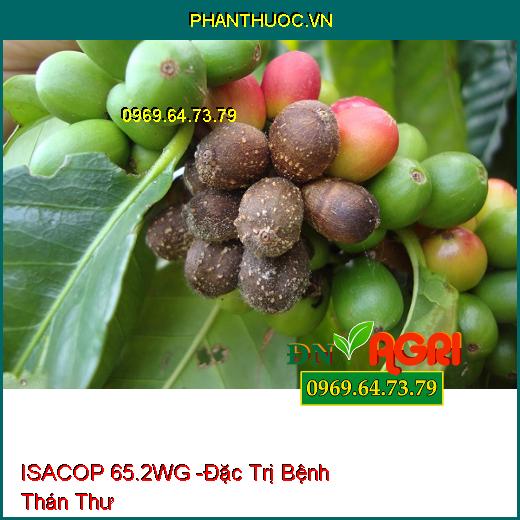 ISACOP 65.2WG -Đặc Trị Bệnh Thán Thư