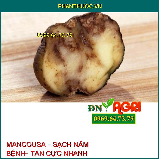 MANCOUSA – SẠCH NẤM BỆNH– TAN CỰC NHANH