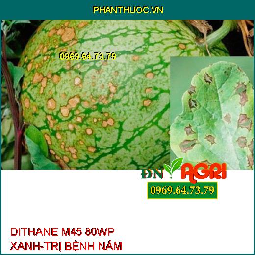 DITHANE M45 80WP XANH-TRỊ BỆNH NẤM 