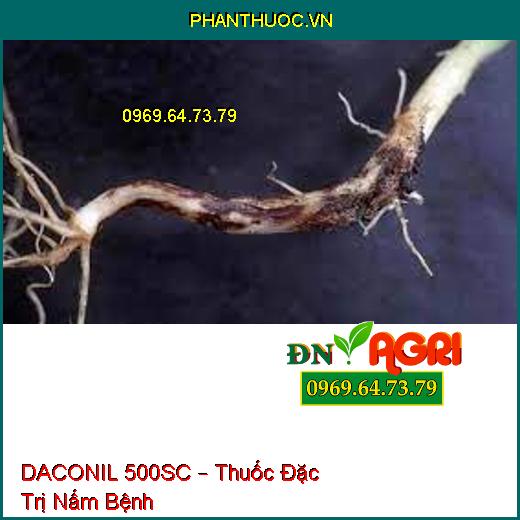 DACONIL 500SC – Thuốc Đặc Trị Nấm Bệnh