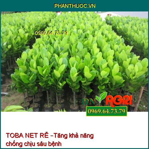 TOBA NET RỄ – KÍCH THÍCH RA RỄ CỰC MẠNH CHO CÂY TRỒNG, HẠN CHẾ VÀNG LÁ