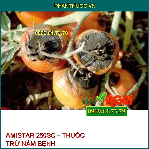 AMISTAR 250SC – THUỐC TRỪ NẤM BỆNH