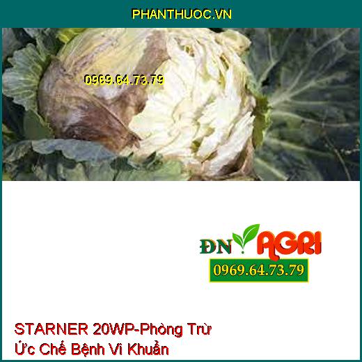 STARNER 20WP-Phòng Trừ Ức Chế Bệnh Vi Khuẩn