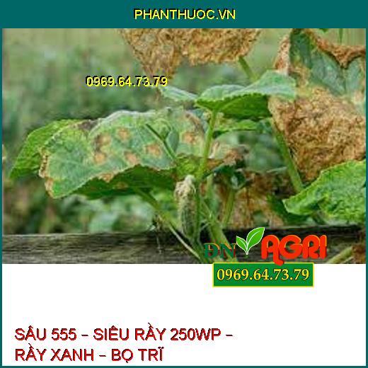 SÂU 555 – SIÊU RẦY 250WP – RẦY XANH – BỌ TRĨ