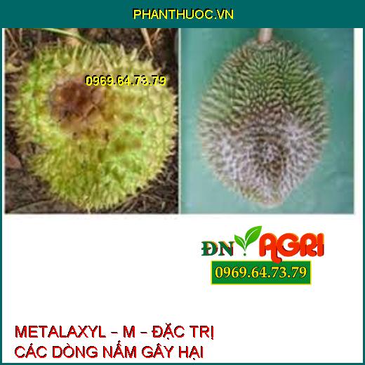 METALAXYL – M – ĐẶC TRỊ CÁC DÒNG NẤM GÂY HẠI