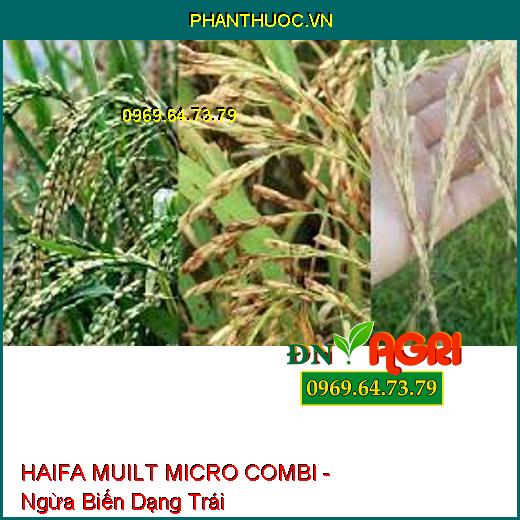 HAIFA MUILT MICRO COMBI - Ngừa Biến Dạng Trái