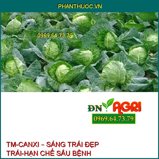 TM-CANXI – SÁNG TRÁI ĐẸP TRÁI-HẠN CHẾ SÂU BỆNH