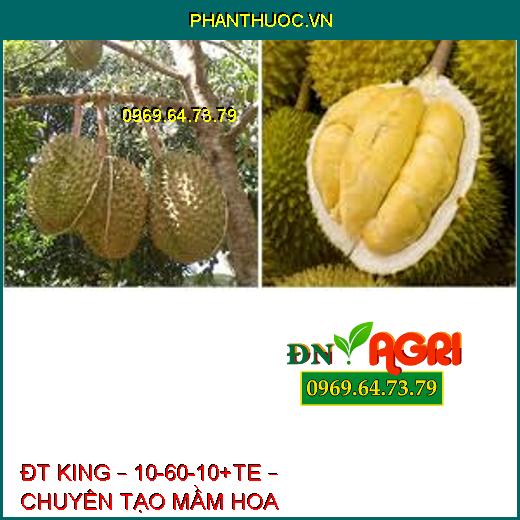 ĐT KING – 10-60-10+TE – CHUYÊN TẠO MẦM HOA