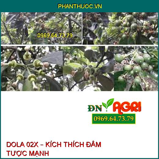 DOLA 02X – KÍCH THÍCH ĐÂM TƯỢC MẠNH