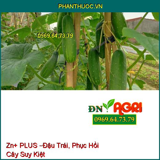 Zn+ PLUS –Đậu Trái, Phục Hồi Cây Suy Kiệt