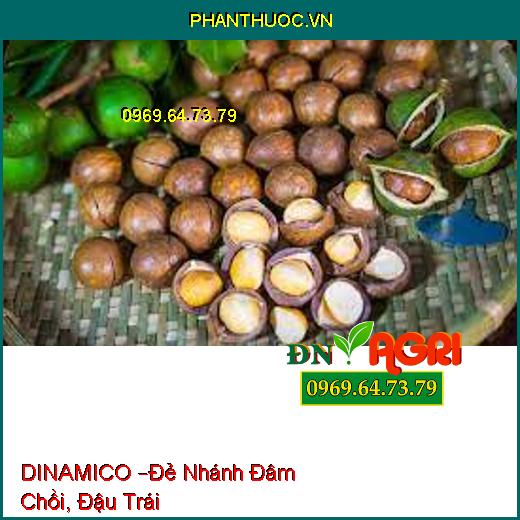 DINAMICO –Đẻ Nhánh Đâm Chồi, Đậu Trái