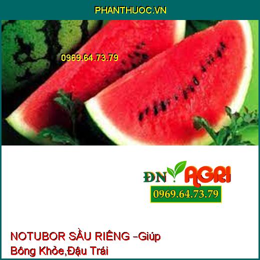 NOTUBOR SẦU RIÊNG –Giúp Bông Khỏe,Đậu Trái