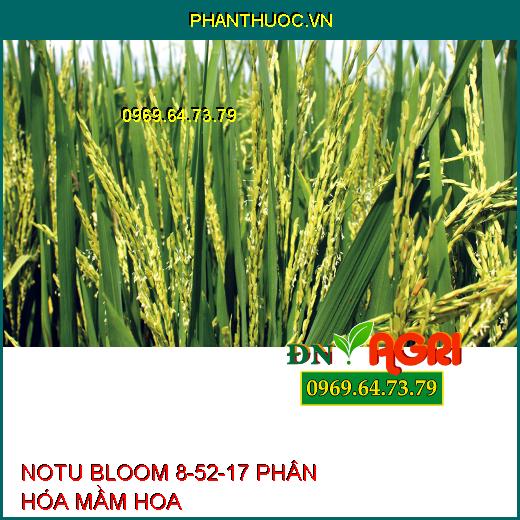 NOTU BLOOM 8-52-17 PHÂN HÓA MẦM HOA