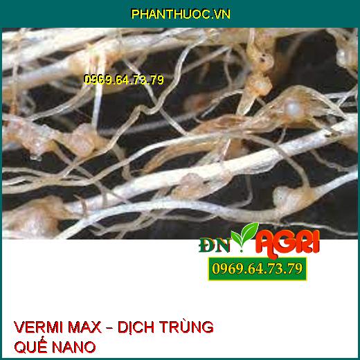 VERMI MAX – DỊCH TRÙNG QUẾ NANO