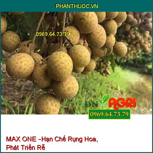 MAX ONE –Hạn Chế Rụng Hoa, Phát Triển Rễ