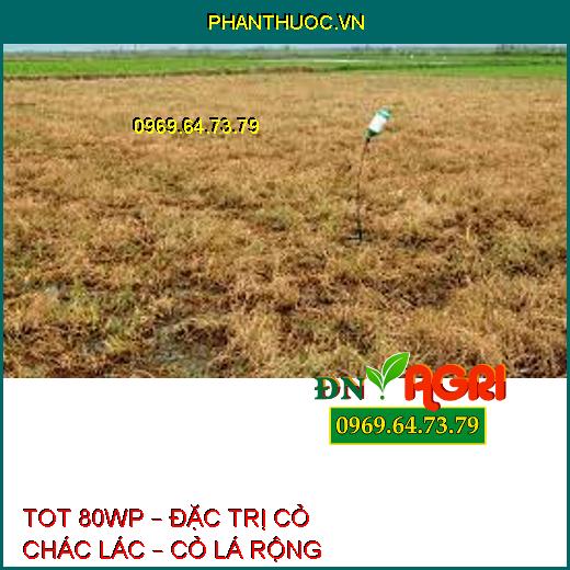 TOT 80WP – ĐẶC TRỊ CỎ CHÁC LÁC – CỎ LÁ RỘNG