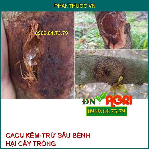 CACU KẼM-TRỪ SÂU BỆNH HẠI CÂY TRỒNG