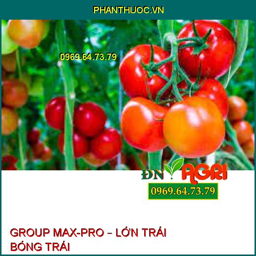 GROUP MAX-PRO – LỚN TRÁI BÓNG TRÁI